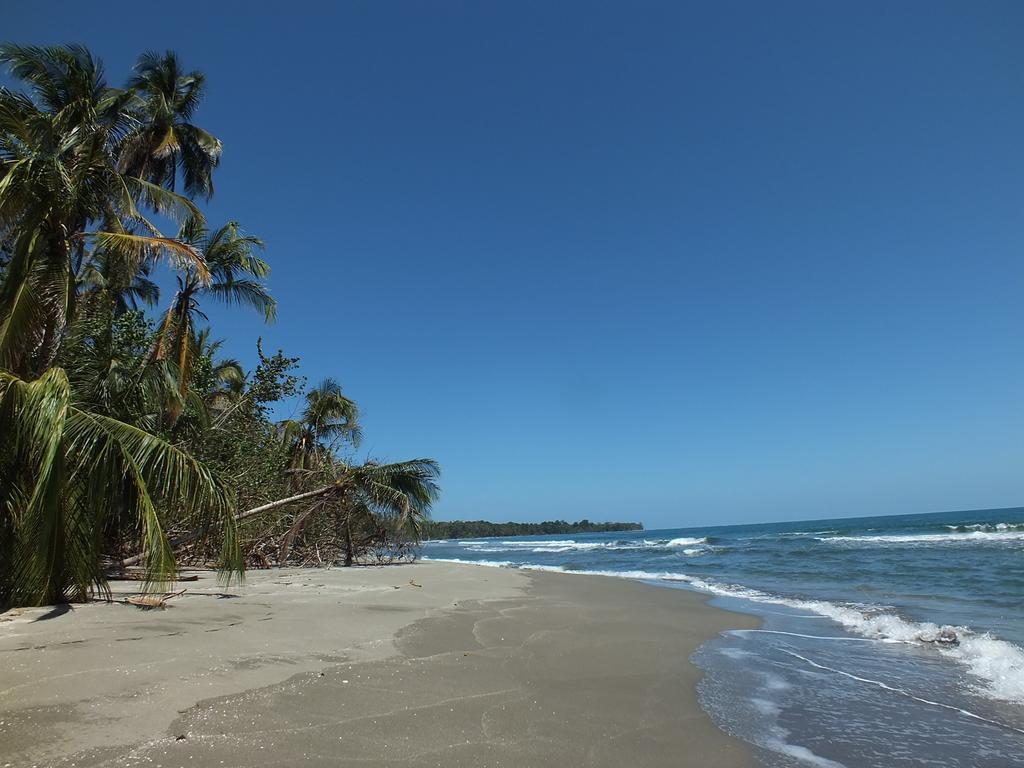 Cabinas Caribe Luna กาอุยตา ภายนอก รูปภาพ
