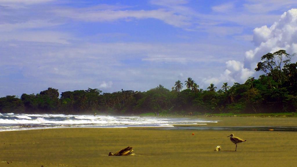 Cabinas Caribe Luna กาอุยตา ภายนอก รูปภาพ
