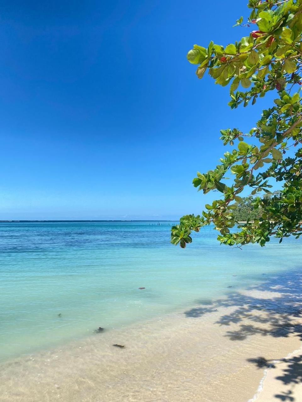 Cabinas Caribe Luna กาอุยตา ภายนอก รูปภาพ