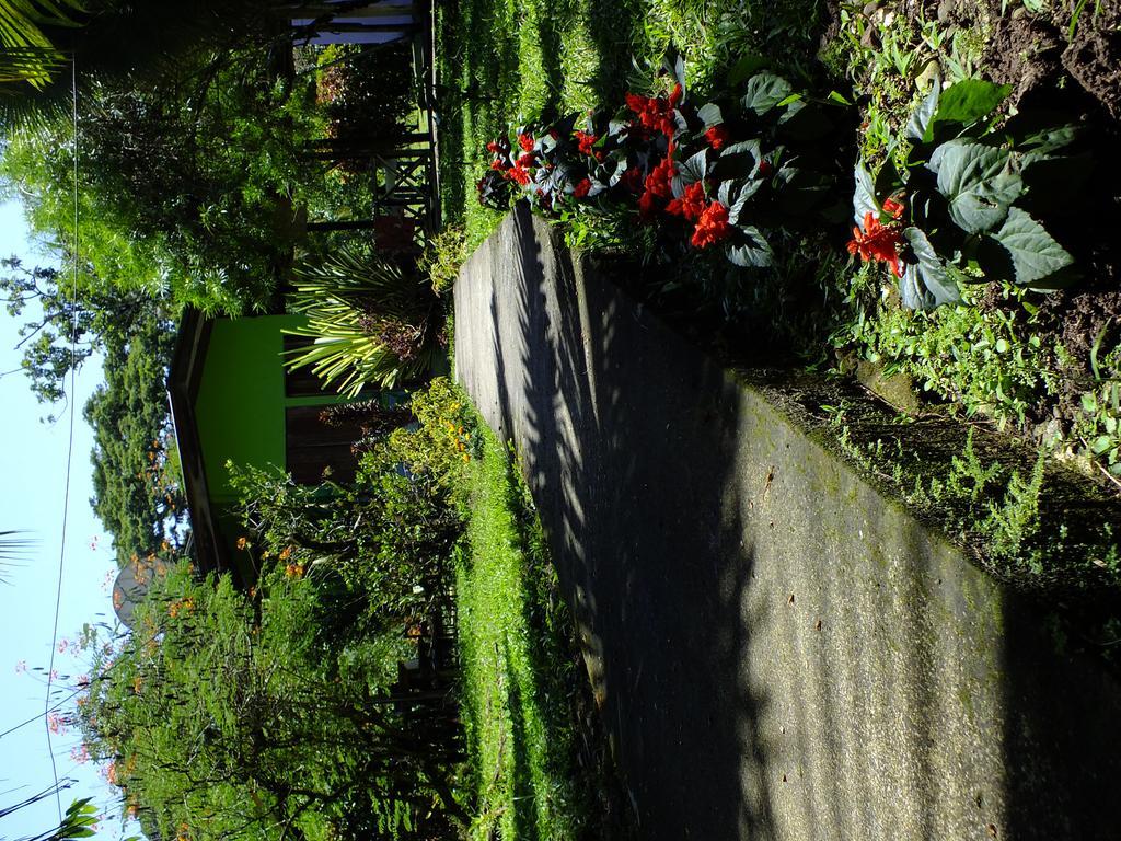 Cabinas Caribe Luna กาอุยตา ภายนอก รูปภาพ