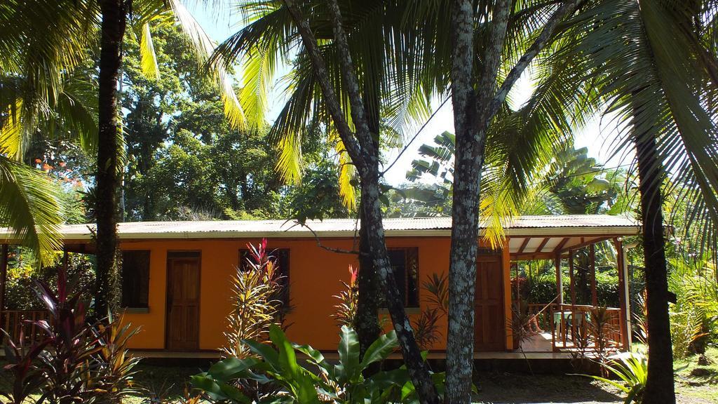 Cabinas Caribe Luna กาอุยตา ภายนอก รูปภาพ